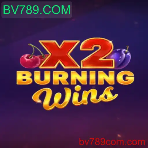Explorando o Envolvente Jogo BurningWinsX2